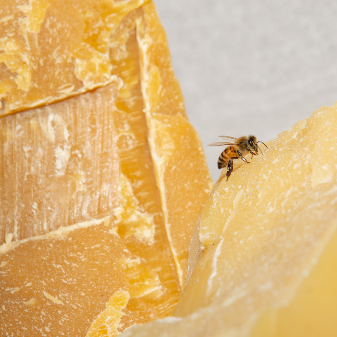 beeswax pillar candles